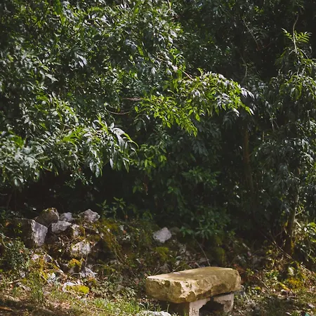 La Cardenosa De Cantabria Rada